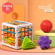 HUANGER | Educational Early Development Toy for 6-9 Month Old Baby