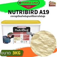 Nutribird A19 Baby Food High Fat Formula Yellow Cap Size 3kg