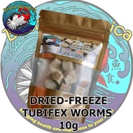 Tubifex Dried Freeze Cubes 10g & 20g For Guppy, Molly, Tetra, FLOWER, HORN, GOLDFISH, FRY