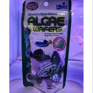 Hikari Algae Wafer(40g)