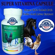 Super Vitamina B12 5500MCG Capsule For Gamefowl Extra Strong