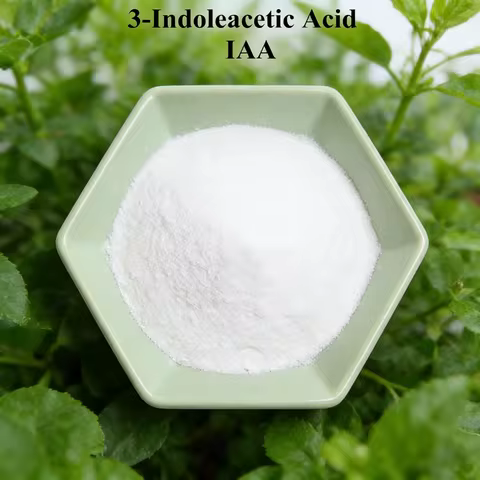 3-indoleacetic Acid IAA Auxina Indol-3-ylacetic Acid 99%tc Heteroauxin Cytokinin Plant Hormone Growt