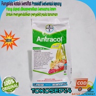 Antracol 250 gr antracol fungisida tanaman antrakol pembasmi jamur tanaman anti jamur tanaman antrac