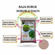 BAJA SUBUR/BAJA POKOK/BAJA ANAK/NPK 15-15-15 REPACK/ BAJA SEBATIAN
