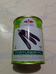 FORTUNER F1 HYBRID LONG EGGPLANT SEEDS(50GRMS) BY EAST WEST
