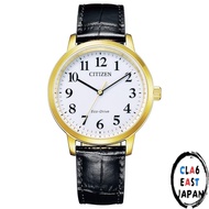 Citizen Eco-Drive Collection Men's Watch BJ6541-58P