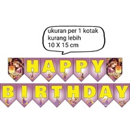 Bunting flag garland flag banner flag birthday character Rapunzel Tangled Rapunsel Tangled