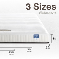 LOTUS ที่นอนยางพาราไฮบริด (สเปคแน่น) รุ่น Spring Free I หนา 7 นิ้ว แถมฟรี หมอนหนุนสุขภาพกันไรฝุ่น ส่