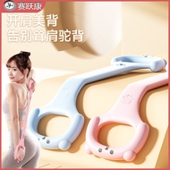 Tensioner Multiple Specifications 20 Pounds 1 Pack 11.19+