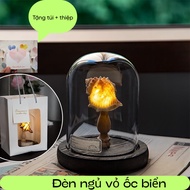 Handmade Sea Urchin Shell Night Light, Handmade Night Light as a Birthday Gift