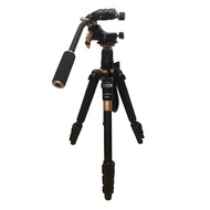 Beike Q555V Fluid Head Video Tripod Beike Q555 V BK-555V ORIGINAL