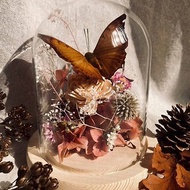 【鯉花】 蝴蝶標本玻璃盅-把酒持螯/永生花/乾燥花/玻璃盅/生態瓶
