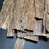Agarwood Skin Bakhoor oud Aquilaria Crassna Gaharu Bakhoor Agarwood Kayu Wangi