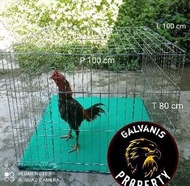 Kurungan Tenggaran Umbaran Ayam Jago Bangkok Pakhoy Besi Galvanis Asli
