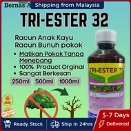 Tri Ester 32 Racun Rumput Serap Matikan Akar Pokok Kayu Besar Ubat Pembunuh Pokok Sawit Besar Garlon