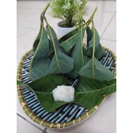 TAPAI PULUT DAUN GETAH LEGEND❤️❤️ 90biji /1kg tapai pulut sedap laris murah daun getah wangi Tapai t