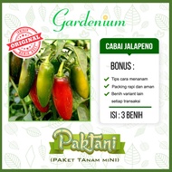 3 Benih Cabai Jalapeno Tanaman Cabe Jalapeno Unggul Paktani