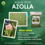 (sila baca description sebelum order) Azolla/ Lumut Air Murah Makanan Alternatif Ternakan Ikan/Ayam/