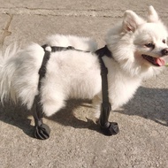 Dog Shoes Waterproof Adjustable Dog Boot Rain Day Pet Breathbale Shoes for Outdoor Walking Soft Fren