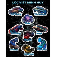 Snakehead fish sticker for fish tank decoration, Snakehead fish sticker