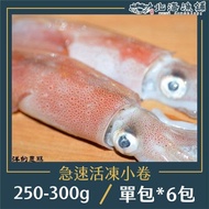 【北海漁鋪】船內急速活凍小卷共6包(250-300g/包)