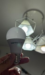 LED慳電膽電燈泡10W , E27 口
