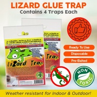 Lizard Glue Trap | Trusted Brand For Lizard Trapping |Lizard Repellent Alternative