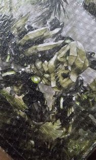 2023年3月FIFTYSEVEN傀甲小隊拼裝模型No.57-歿龍
