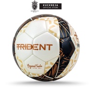 Trident Legend Pro Sala Hybrid Futsal Ball