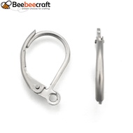 10pcs Tarnish Resistant Stainless Steel color Tone 304 Stainless Steel Leverback Earring Findings wi