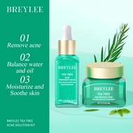 BREYLEE Acne Treatment Skincare Set Acne Remover Cream Acne Treament Cleaner Acne Treatment Series
