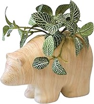 KI Japan 167556 WD Pot, Animal Bear, Natural, W 6.7 x D 3.0 x H 5.5 inches (17 x 7.5 x 14