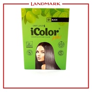 iColor 10piece/pack Hair Dye Shampoo 30ml
