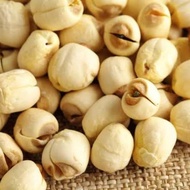 - LOTUS SEED LOTUS SEED/ 10gr