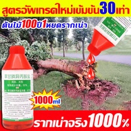 ฆ่าต้นไม้เปิดพื้นที่รกร้าง ยาฆ่าไม้ไผ่ ยาฆ่าต้นไม้ สารกำจัดกอไผ่ ยาฆ่าต้นไม้ใหญ ความจุสูง1000ML เหมา