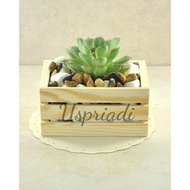 MINI WOODEN CRATE BOX SUCCULENT WOODEN CRATE TOY CRATE CHILDREN'S TOY CRATE