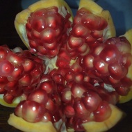 buah delima merah