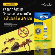 ของแท้ ยาฆ่ามด  ยากำจัดมด กำจัดมด bayer quantum  เจลกำจัดมด  สูตรประสิทธิภาพ กำจัดมด ยกรัง ใช้งานง่า