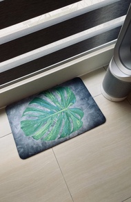 BLR 觀葉植物 地墊 龜背芋 青龍 草莓之星 彩葉芋