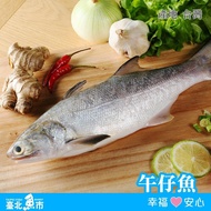 【臺北魚市】 生產追溯 午仔魚(250g/包)*5包