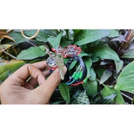 Ignition key cb100 cb 100 cb125 cb 125