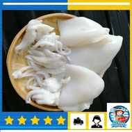 Sekinchan Big Cuttle Fish / 适耕庄大木斗肉干净 (200/300) 500gm Sotong Katak Seafood Delivery - Old Mama Seafo