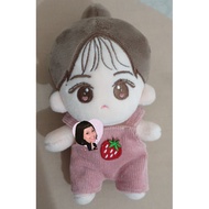 Borarin - Red Velvet Irene Doll