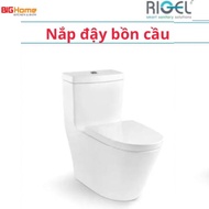 Replacement toilet lid for RIGEL toilets, 1 BLOCK TOILET - 2 RIGEL BLOCKS imported SMOOTH LID