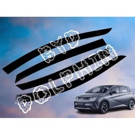 BYD car gutter dolphin