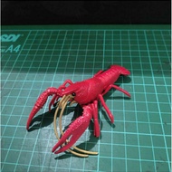 Miniature Crayfish Lobster