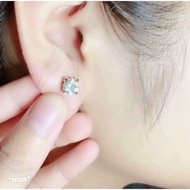 Blister Earrings 12 bag/Blister ONLY