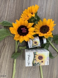 Viên uống chống nắng PIOME SUN