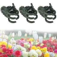 dusur 20 40 100Pcs Plant Orchid Clip Plant Clip Orchid Clip for Support Vine Growing Plant Orchid Gr