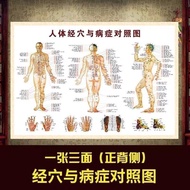 Traditional Chinese Medicine Health Wall Chart Sticker Human Body Meridian Acupuncture Points Whole 